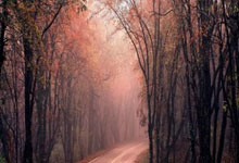 冈茨:莱奥的天赋不能被浪费 希门尼斯是射手不是战术型前锋.