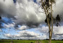 K1体育:挥泪斩马谡!曝皇马正式决定出售“亿元废星”!天才中场投奔安帅.