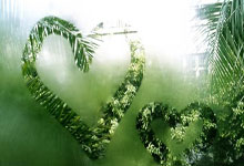 K1体育:33个项目获194个世界冠军,2024年中国体育交出亮眼成绩单环球时报.